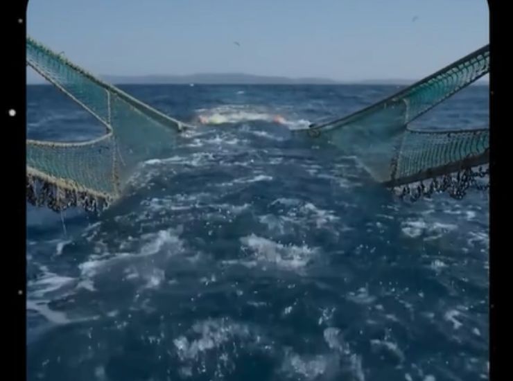 Reti da pesca