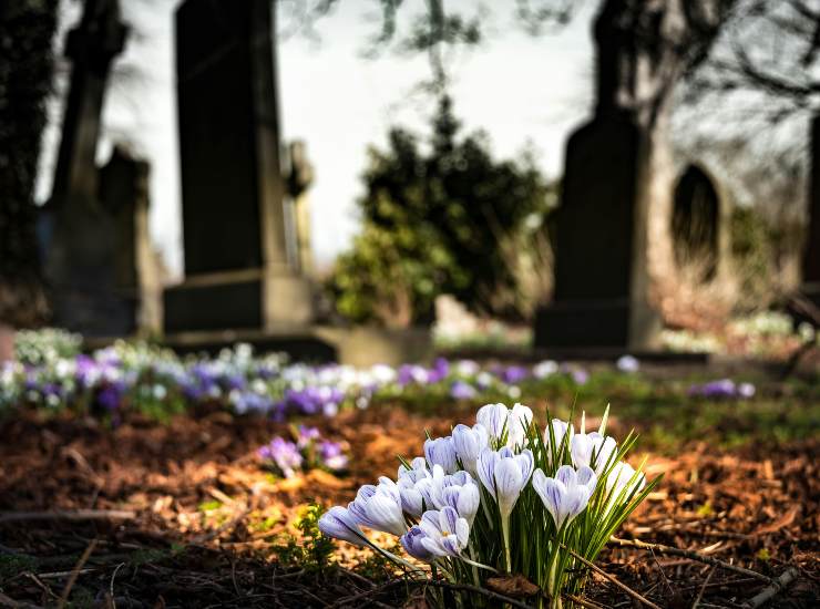 Cimitero