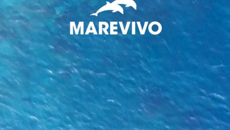 Fondazione Marevivo