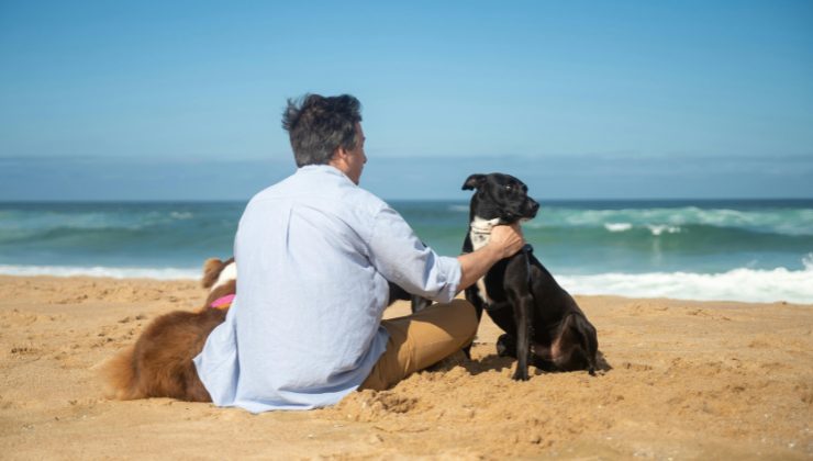 Cani e padrone in spiaggia