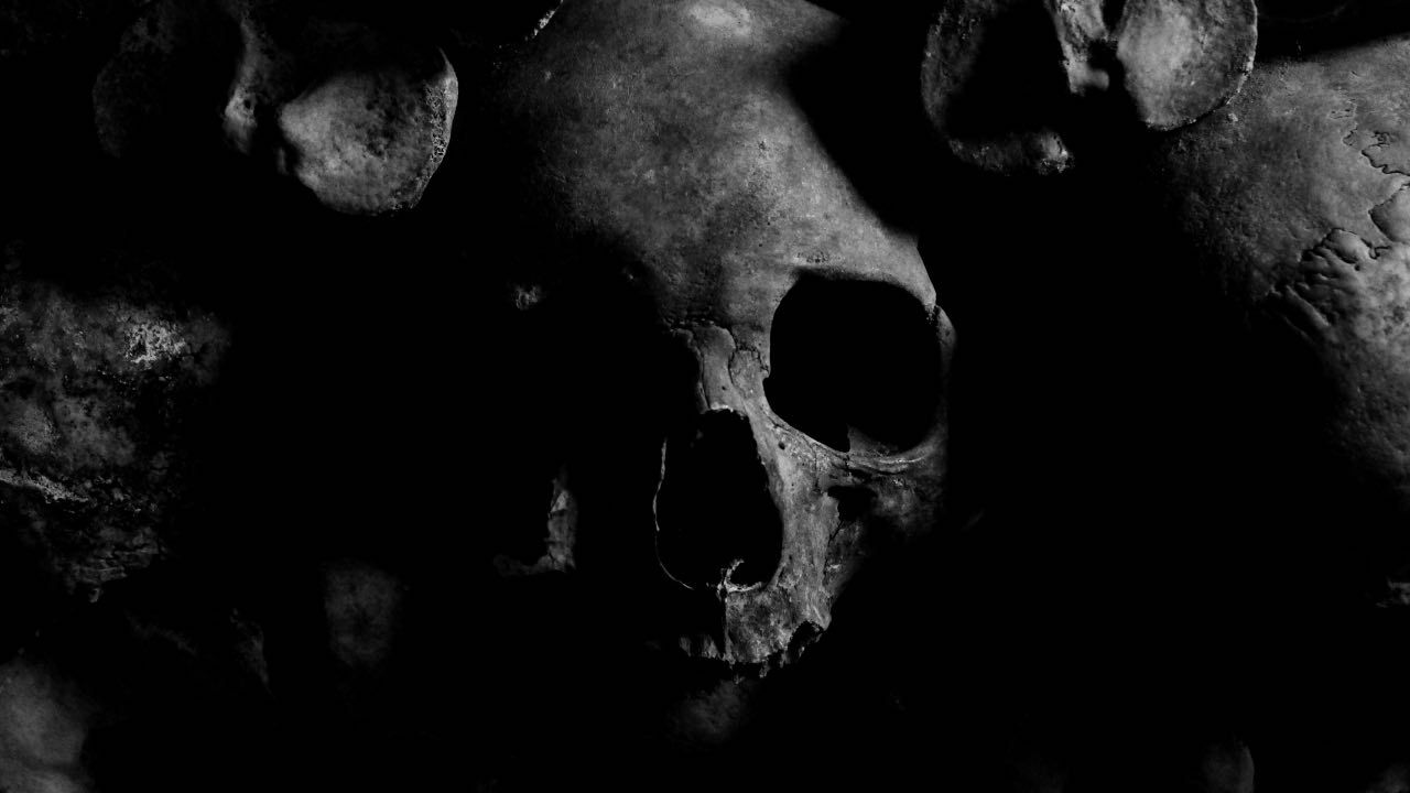 diavolo - pexels- terranauta