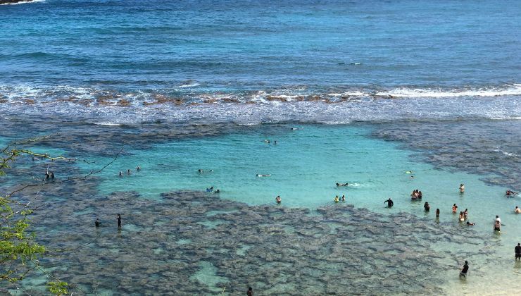 Mare pieno di bagnanti