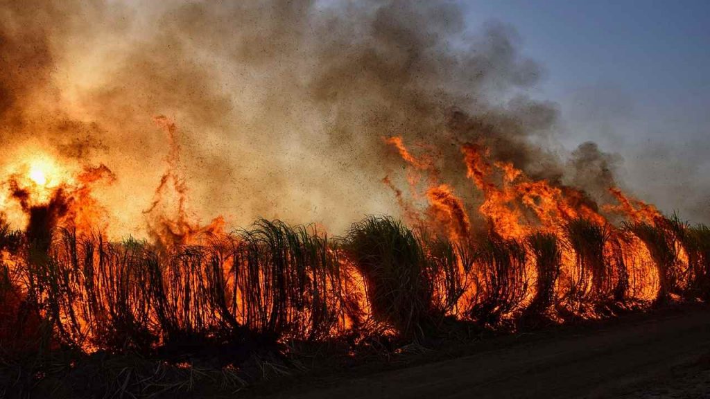Incendio