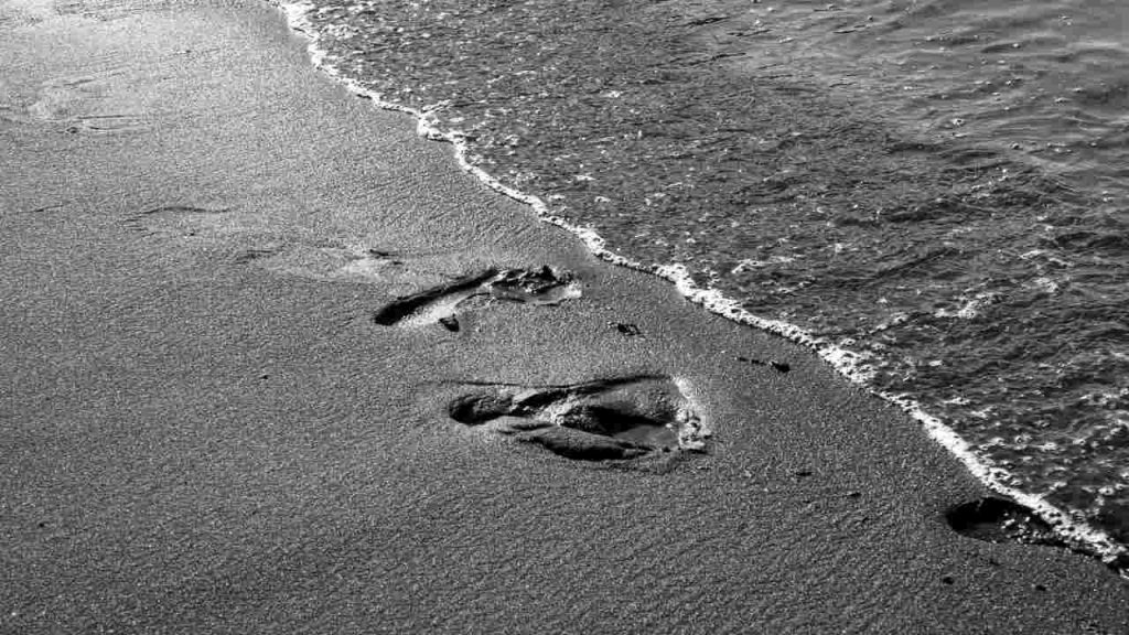 Ritrovamenti a riva (pexels.com) - terranauta.it