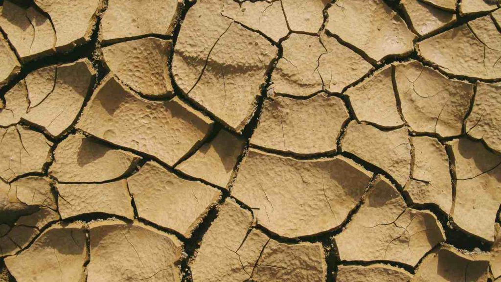 Terremoto
