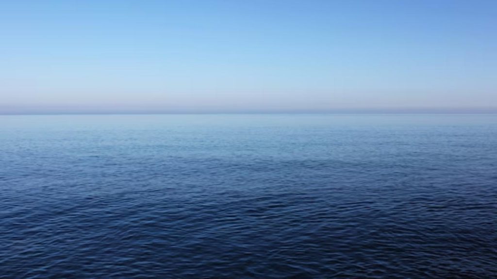 Nessuno conosce il mare delle tigri: fai attenzione a fare il bagno | Potresti trovartene una addosso
