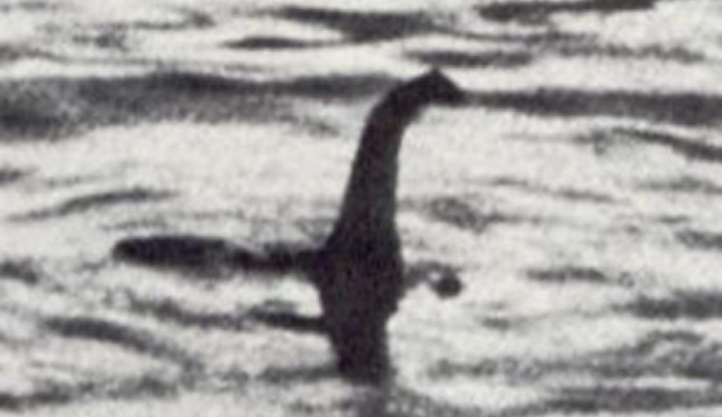 Ritrovata strana creatura in fondo al mare: è una bestia di 14 metri | Peggio del Mostro di Loc Ness