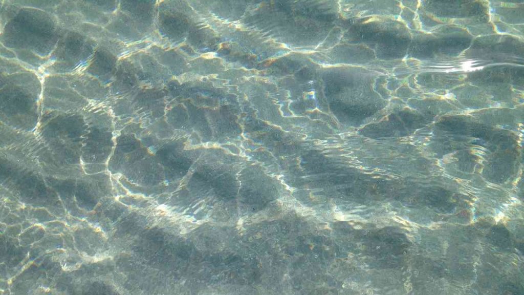 Acqua di mare (pexels.com) - terranauta.it