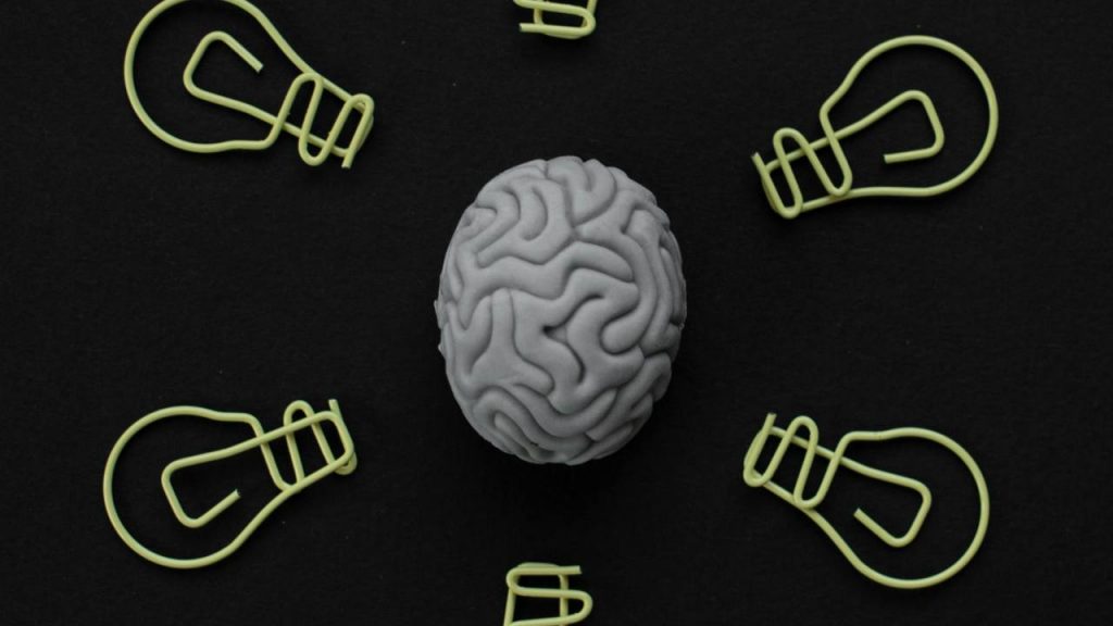 Cervello e decisioni (pexels.com) - terranauta.it