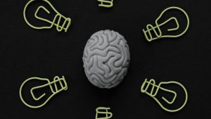 Cervello e decisioni (pexels.com) - terranauta.it