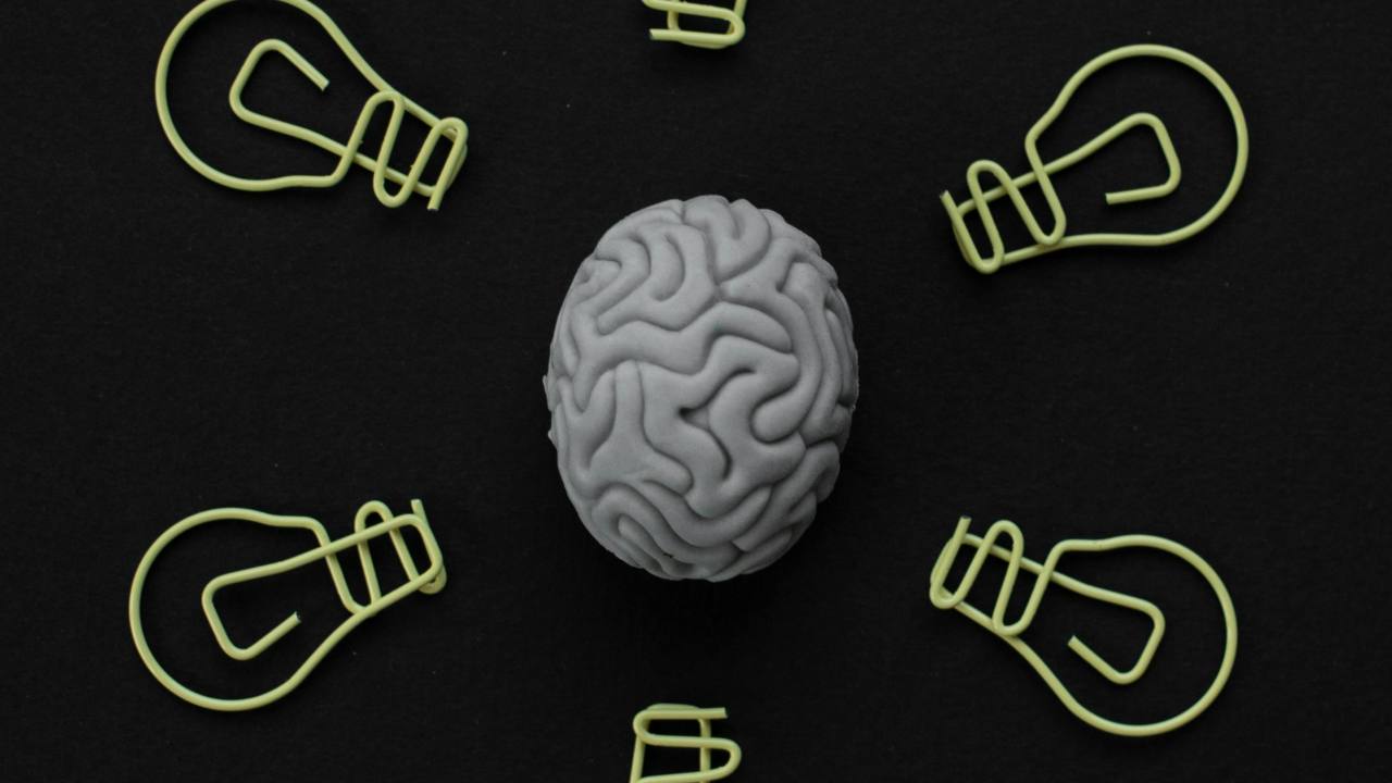 Cervello e decisioni (pexels.com) - terranauta.it