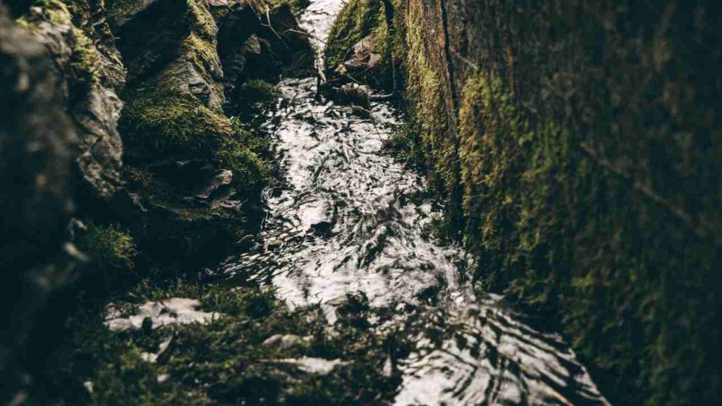 Fonte d'acqua (pexels.com) - terranauta.it