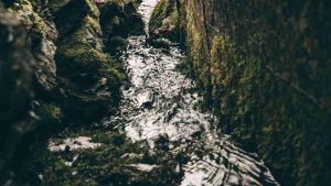 Fonte d'acqua (pexels.com) - terranauta.it
