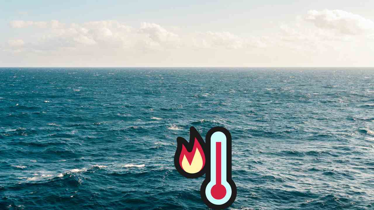 SOS mare bollente, si sono superati i 29°C | Tutti i rischi e pericoli a cui i bagnanti sono sottoposti