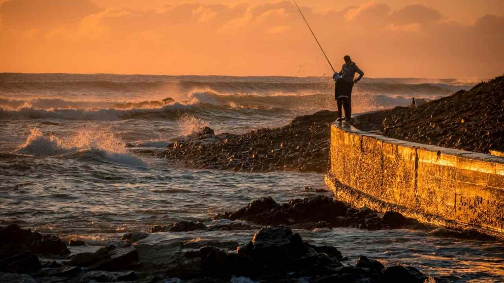 Pesca in mare - pexels - terranauta