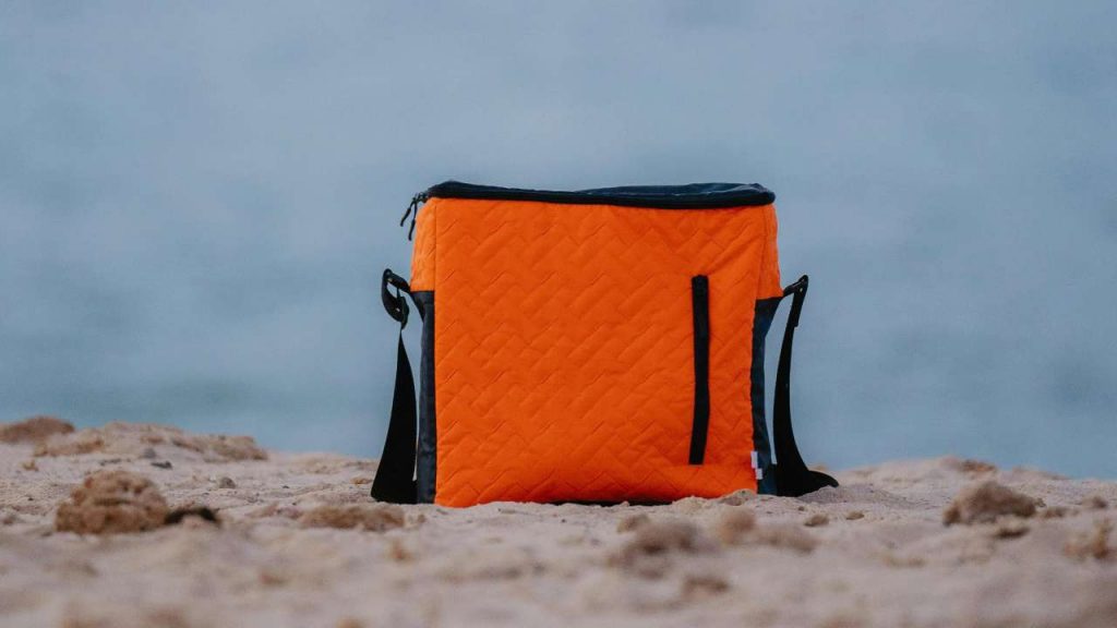 Borsa frigo