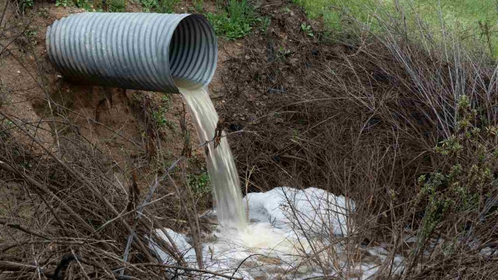 Il mare di Licola diventa liquame: al via le indagini per sversamento