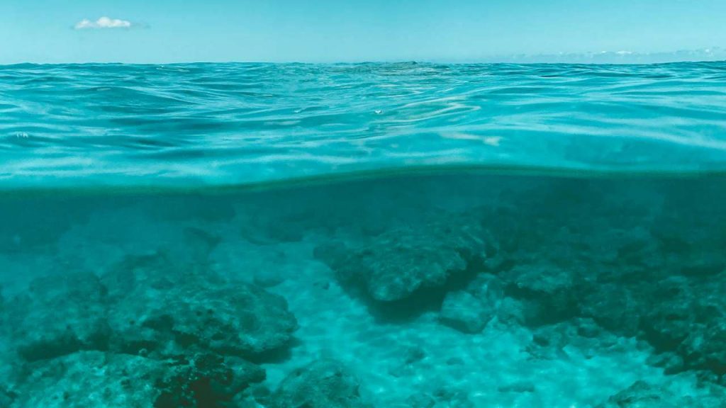 Mare - piscina (pexels.com) - terranauta.it