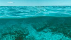 Mare - piscina (pexels.com) - terranauta.it