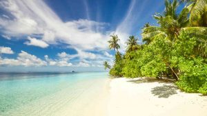 Spiagge TOP