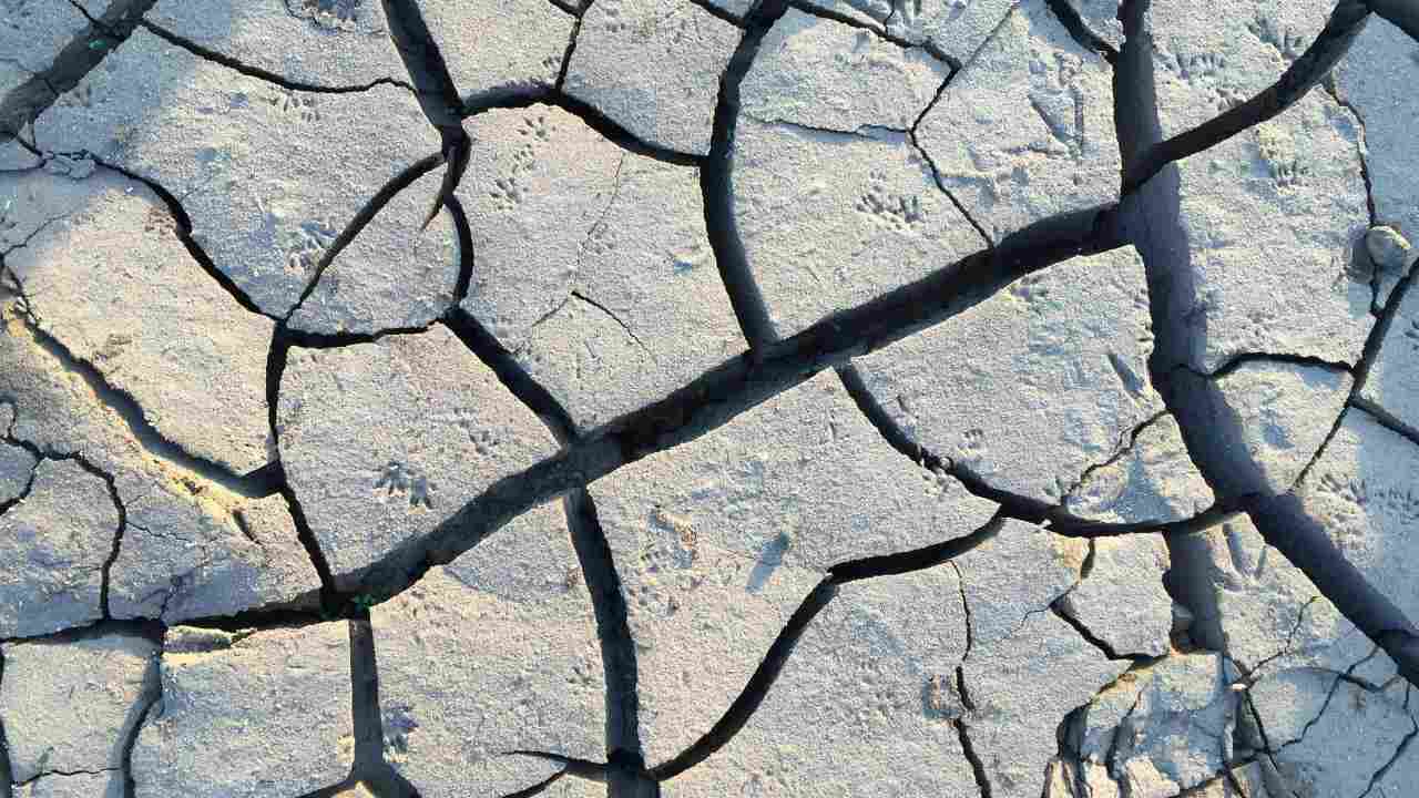 Terremoto