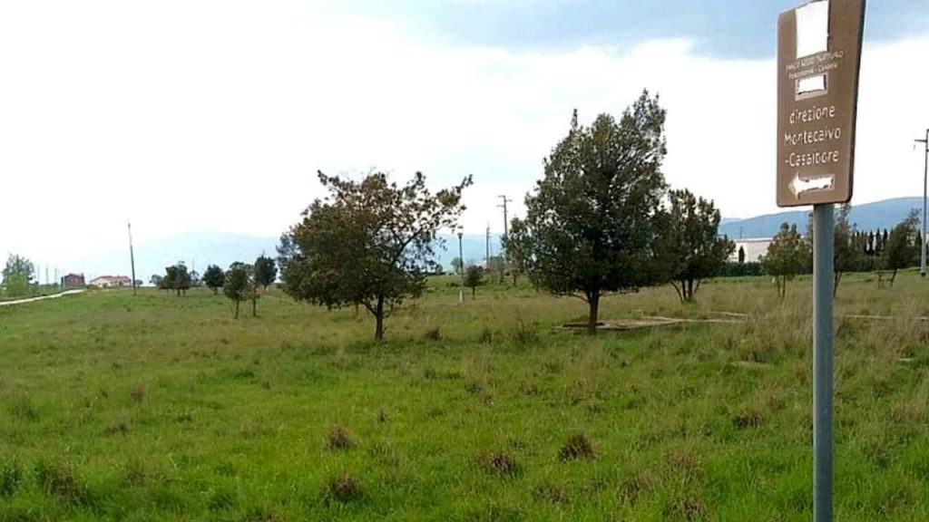 Tratturo