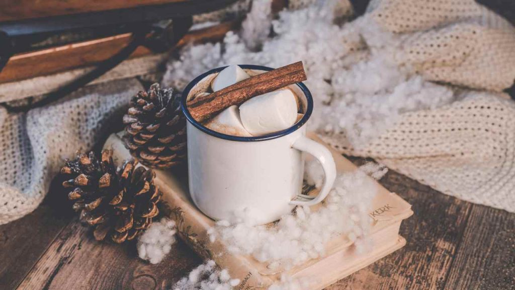Un bianco natale (pexels.com) - terranauta.it