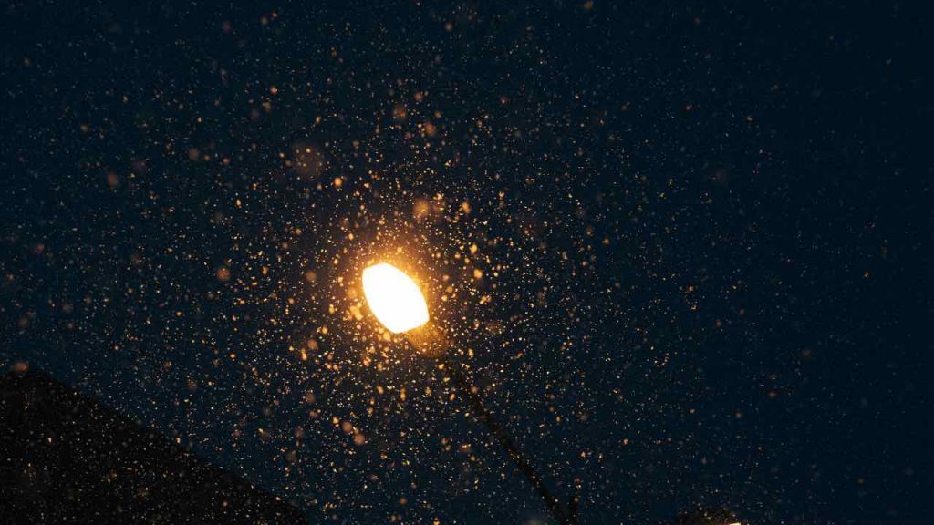 luci notte folletti - pexels - terranauta