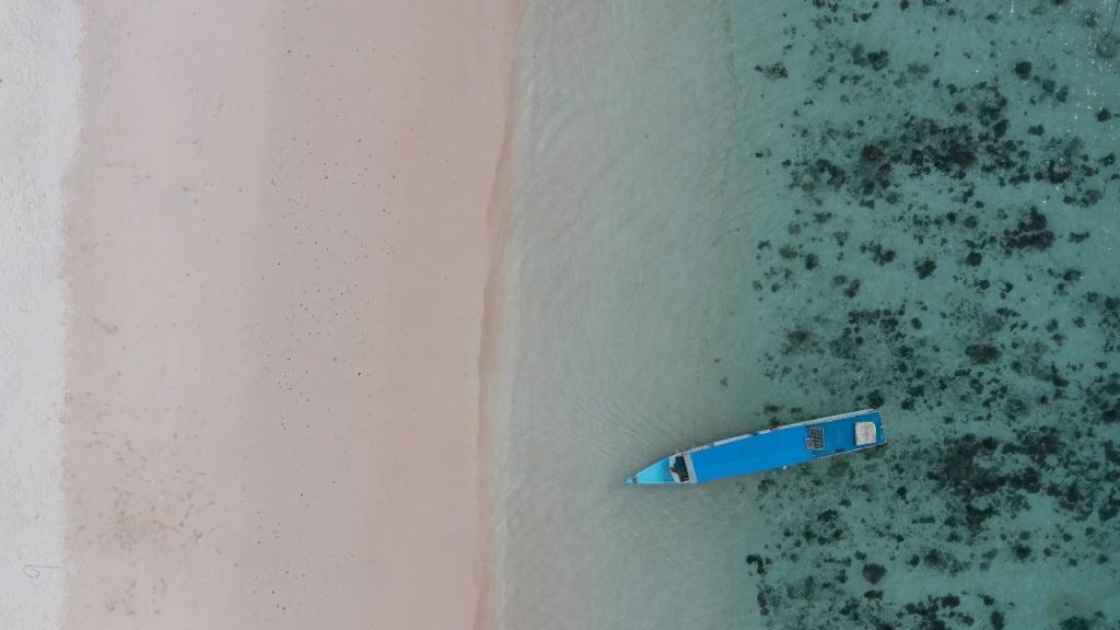 spiaggia rosa - pexels- terranauta