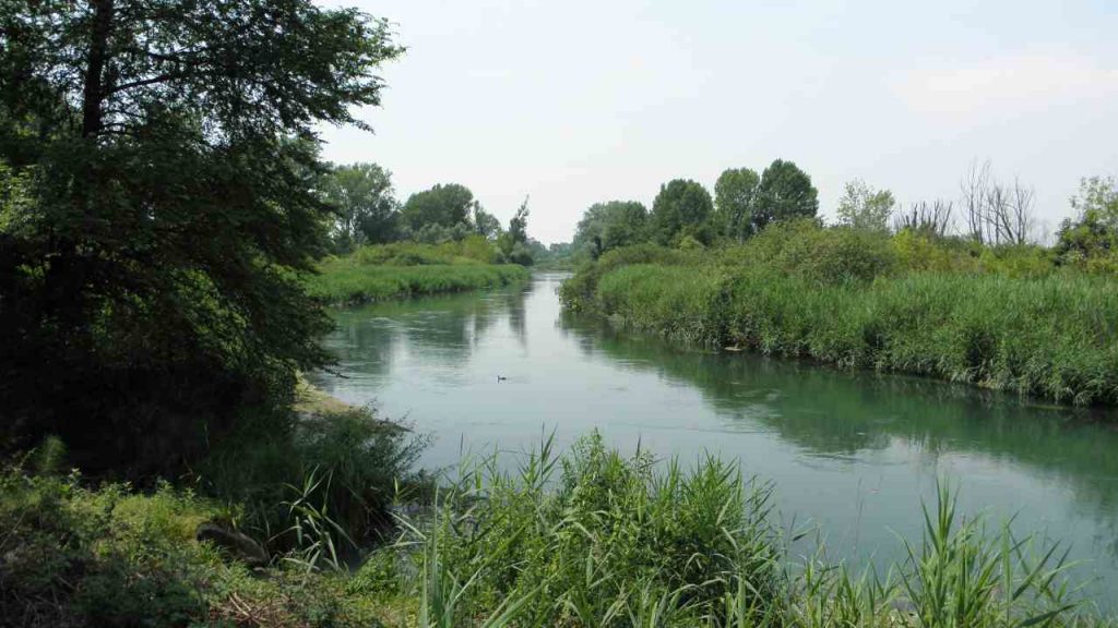 Continua l’allarme maltempo: allagamenti in Friuli Venezia Giulia | Il Sile supera il livello di guardia