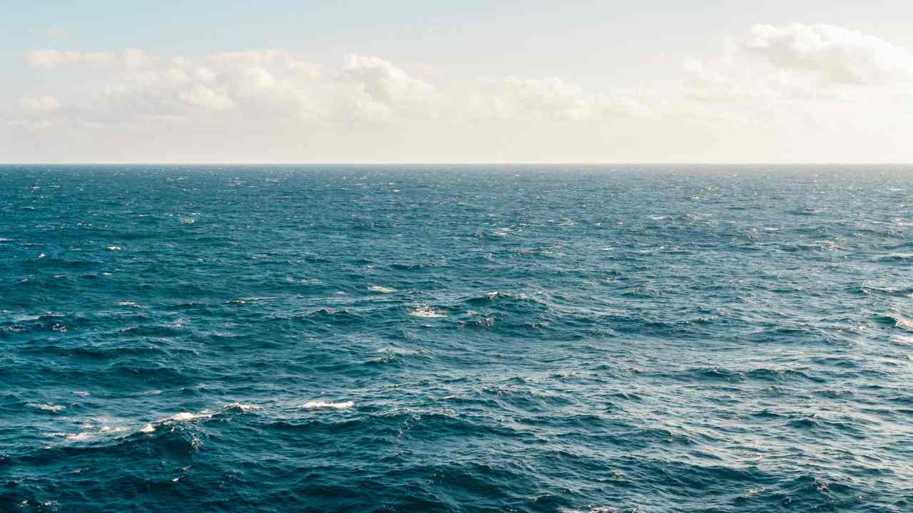 Mare canterino, più una richiesta d’aiuto che una dolce melodia | Tutto per verificare l’acidità nelle acque