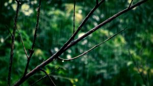 Pioggia e bizzarri fenomeni (pexels.com) - terranauta.it