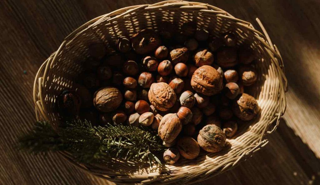castagne - pexels- terranauta
