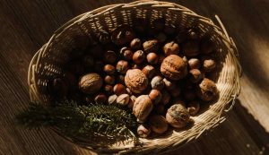 castagne - pexels- terranauta